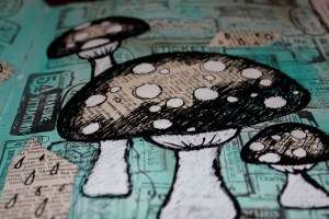 26.august 2013-2 utsnitt 1